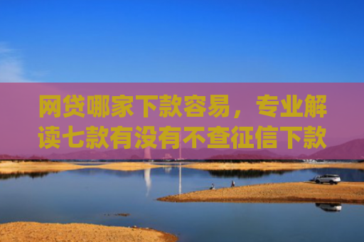 网贷哪家下款容易，专业解读七款有没有不查征信下款的app