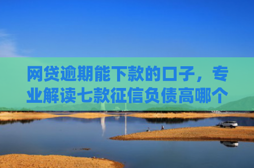 网贷逾期能下款的口子，专业解读七款征信负债高哪个平台好下款app