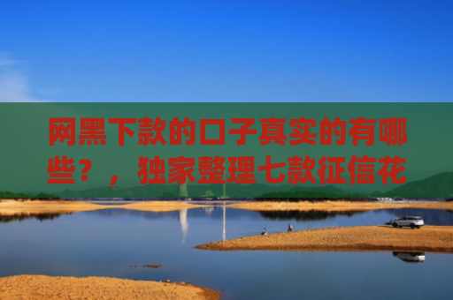 网黑下款的口子真实的有哪些？，独家整理七款征信花可以下款的网贷app