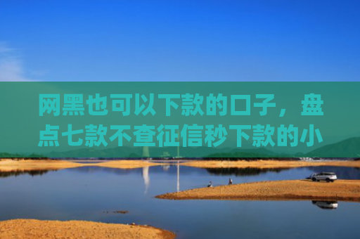 网黑也可以下款的口子，盘点七款不查征信秒下款的小额贷款app