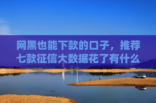网黑也能下款的口子，推荐七款征信大数据花了有什么app能下款