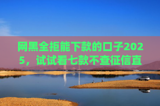 网黑全拒能下款的口子2025，试试看七款不查征信直接下款的app有哪些