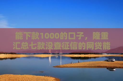 能下款1000的口子，隆重汇总七款没查征信的网贷能下款吗