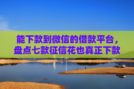 能下款到微信的借款平台，盘点七款征信花也真正下款的网贷