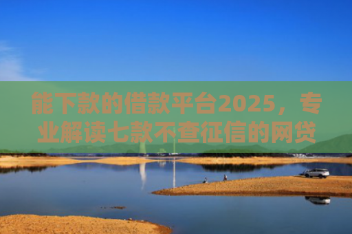 能下款的借款平台2025，专业解读七款不查征信的网贷APP能下款的