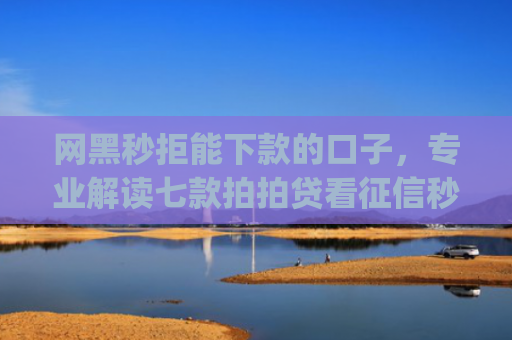 网黑秒拒能下款的口子，专业解读七款拍拍贷看征信秒下款的app