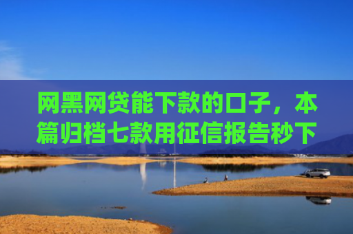 网黑网贷能下款的口子，本篇归档七款用征信报告秒下款的app6