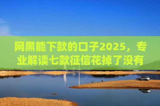 网黑能下款的口子2025，专业解读七款征信花掉了没有一家app下款