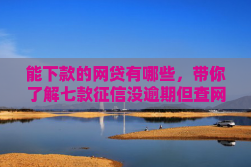 能下款的网贷有哪些，带你了解七款征信没逾期但查网贷多久能下款