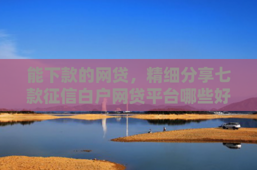能下款的网贷，精细分享七款征信白户网贷平台哪些好下款