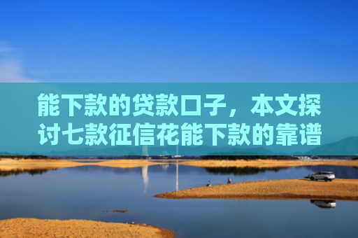 能下款的贷款口子，本文探讨七款征信花能下款的靠谱网贷