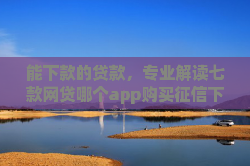 能下款的贷款，专业解读七款网贷哪个app购买征信下款的6