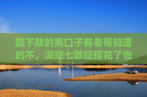能下款的黑口子有老哥知道的不，深挖七款征信花了也能下款的网贷app