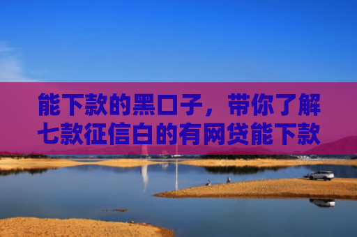 能下款的黑口子，带你了解七款征信白的有网贷能下款吗