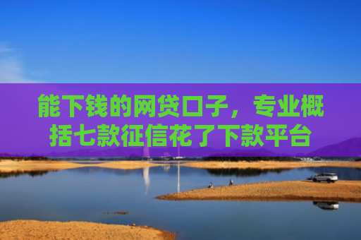 能下钱的网贷口子，专业概括七款征信花了下款平台