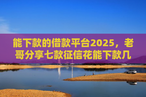 能下款的借款平台2025，老哥分享七款征信花能下款几百的网贷