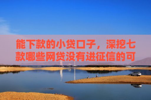 能下款的小贷口子，深挖七款哪些网贷没有进征信的可以下款