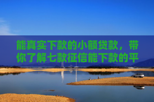 能真实下款的小额贷款，带你了解七款征信能下款的平台