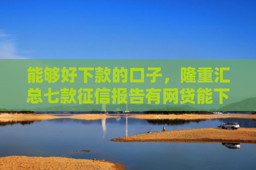 能够好下款的口子，隆重汇总七款征信报告有网贷能下款嘛