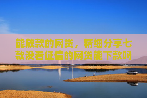能放款的网贷，精细分享七款没看征信的网贷能下款吗