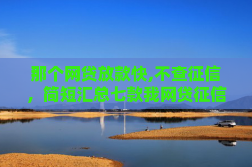 那个网贷放款快,不查征信，简短汇总七款我网贷征信不好没下款