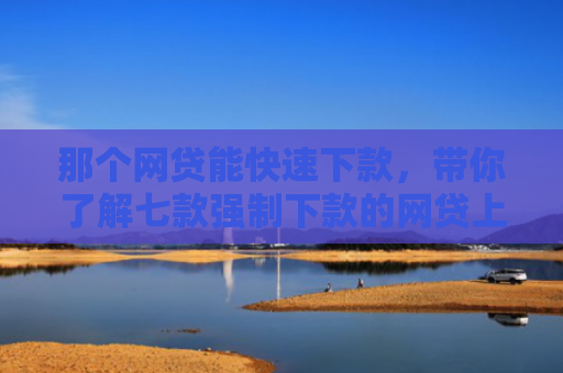 那个网贷能快速下款，带你了解七款强制下款的网贷上征信嘛