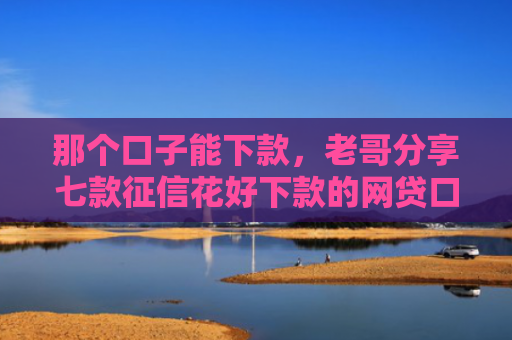 那个口子能下款，老哥分享七款征信花好下款的网贷口子