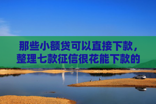 那些小额贷可以直接下款，整理七款征信很花能下款的网贷