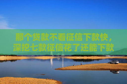那个贷款不看征信下款快，深挖七款征信花了还能下款的网贷