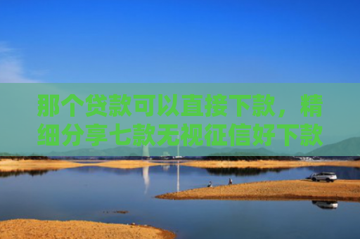 那个贷款可以直接下款，精细分享七款无视征信好下款的网贷