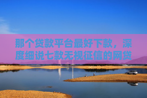 那个贷款平台最好下款，深度细说七款无视征信的网贷秒下款