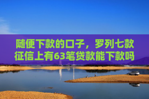 随便下款的口子，罗列七款征信上有63笔贷款能下款吗