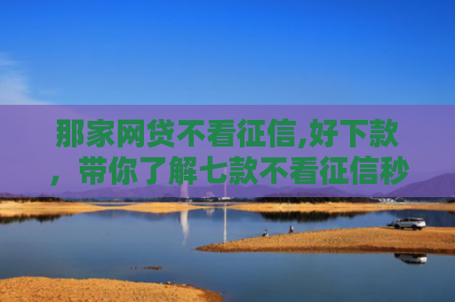 那家网贷不看征信,好下款，带你了解七款不看征信秒下款的网贷6