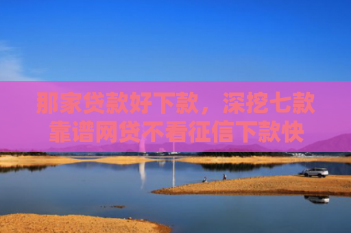 那家贷款好下款，深挖七款靠谱网贷不看征信下款快