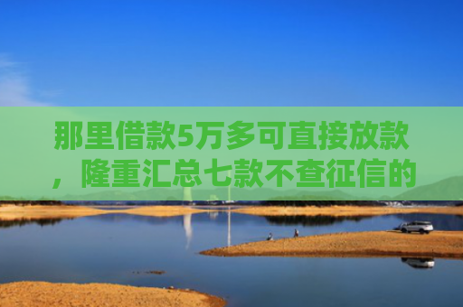 那里借款5万多可直接放款，隆重汇总七款不查征信的网贷也不下款