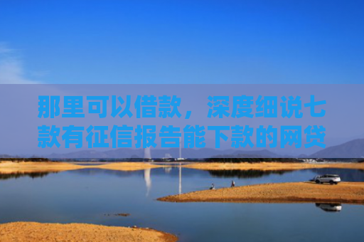 那里可以借款，深度细说七款有征信报告能下款的网贷