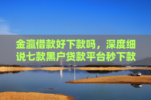 金瀛借款好下款吗，深度细说七款黑户贷款平台秒下款