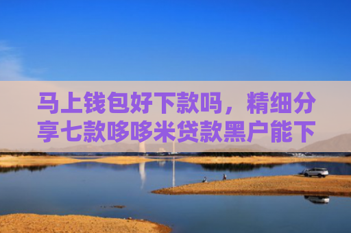 马上钱包好下款吗，精细分享七款哆哆米贷款黑户能下款吗