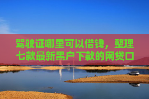 驾驶证哪里可以借钱，整理七款最新黑户下款的网贷口子