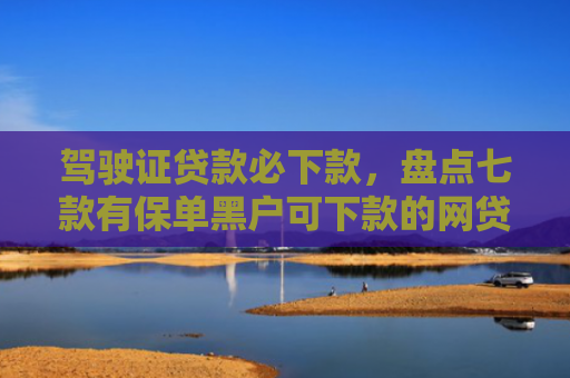 驾驶证贷款必下款，盘点七款有保单黑户可下款的网贷