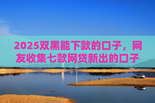 2025双黑能下款的口子，网友收集七款网贷新出的口子秒下款
