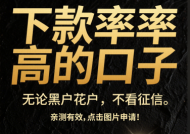 哪些平台借钱不看征信报告？